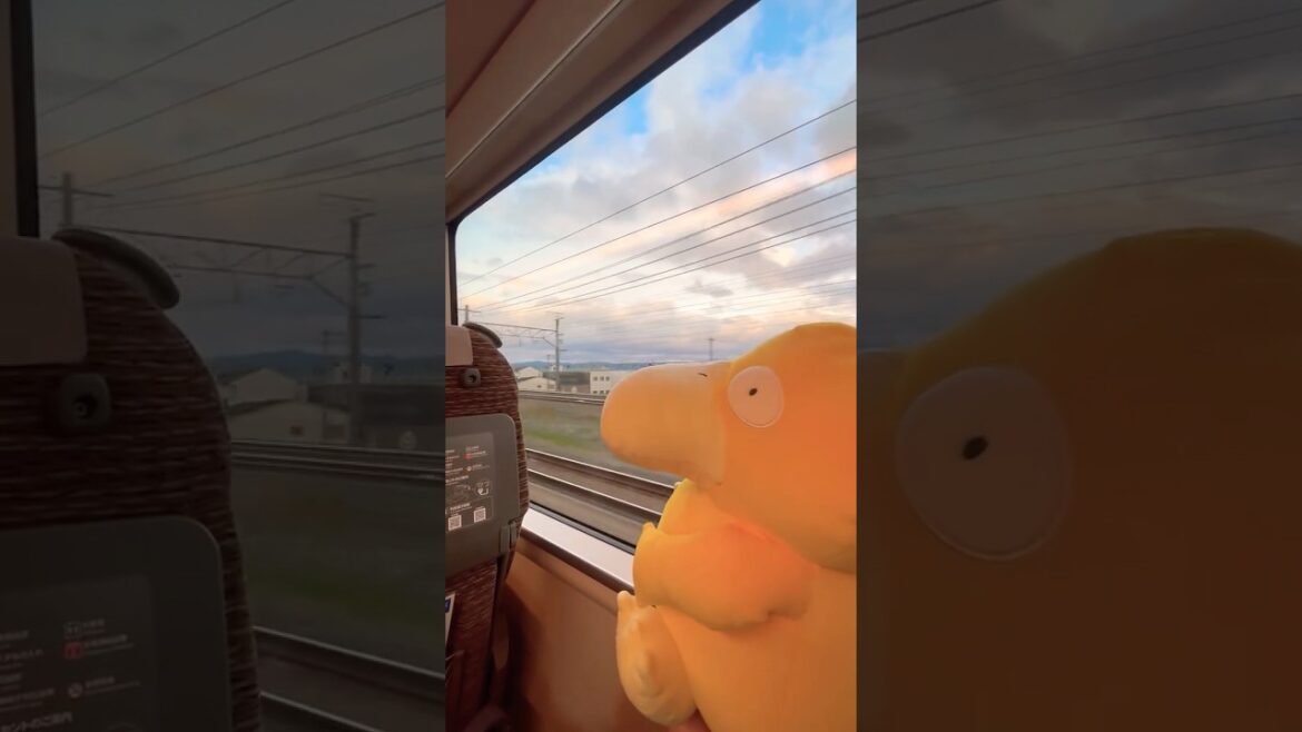 Haruka Express, Japan 🌸  #haruka #psyduck #kyoto