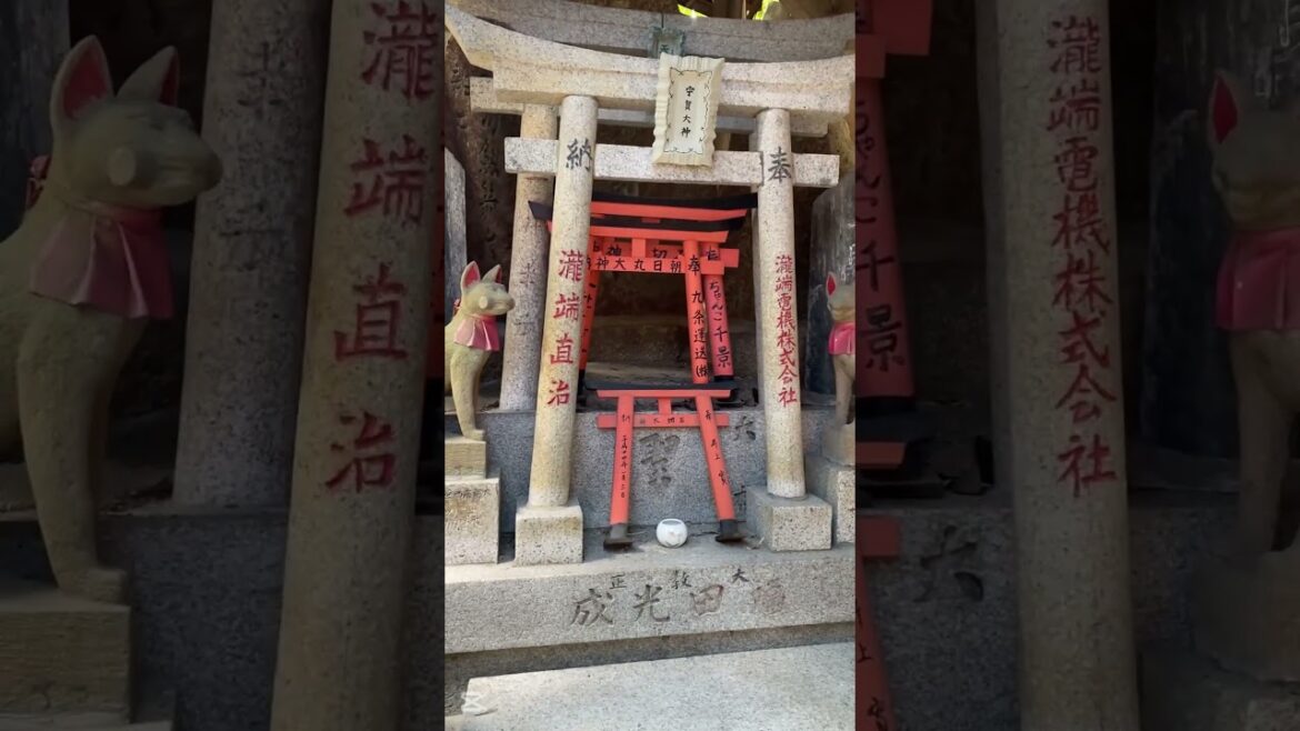 Mastering Kyoto Travel: Navigating with Torii Gates #japan #kyoto #gates