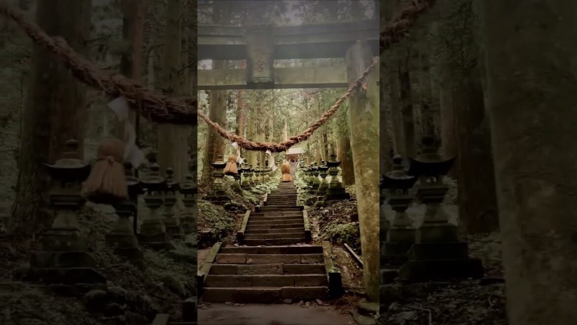 Kamishikimi Kumanoza Shrine—Kumamoto’s mystical forest shrine #japantravel #japan #kumamoto #travel