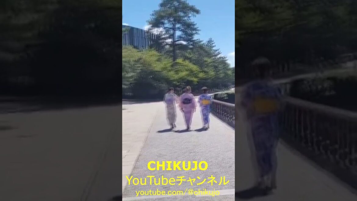 kimono kitakyushu 着物 北九州 #旅行 #観光 #travel