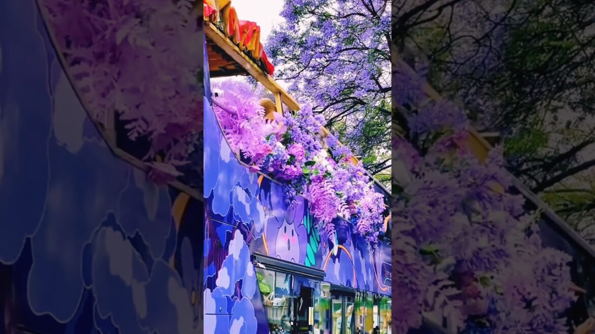 Places On Earth That Don’t feel Real πͺ»#china#qatar#japan Places On Earth That Don't feel Real πͺ»#china#qatar#japan