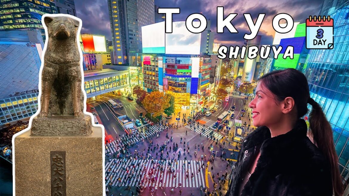 Top 12 Things to Do in Shibuya Tokyo ЁЯЗпЁЯЗ╡ | Day 3 Itinerary + Best Places to Stay Top 12 Things to Do in Shibuya Tokyo ЁЯЗпЁЯЗ╡ | Day 3 Itinerary + Best Places to Stay