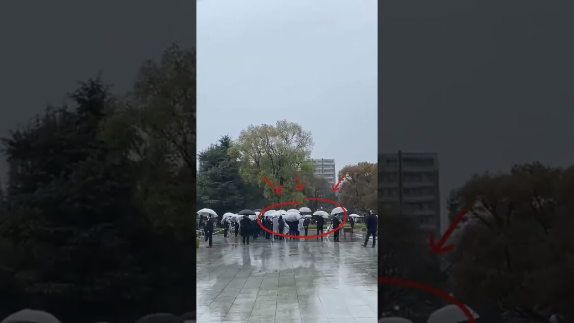 Gặp đoàn thủ tướng ở Hiroshima ngày mưa #travelvlog #japan #hiroshima