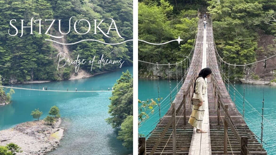 Hidden Gems in Japan/ Shizuoka / Bridge of dreams #shizuoka #japantravel #japan #japanese #travel