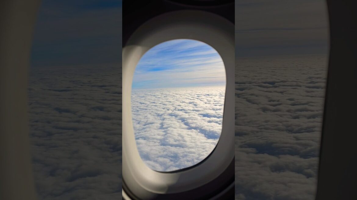 Iberia A321 business  #shorts #travel #spain #iberia