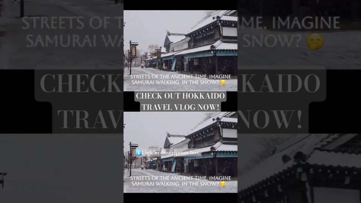 The Ninja & Samurai village #youtubeshorts #ytshorts #shorts #fyp #travelvlog #hokkaido #japan