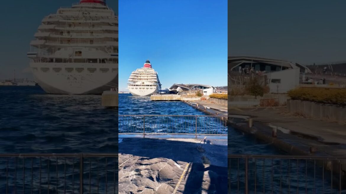 🇯🇵yokohama🎎|#japan|#youtubeshorts|#shortsfeed|#shorts|#explorefoodandtravelvlogs