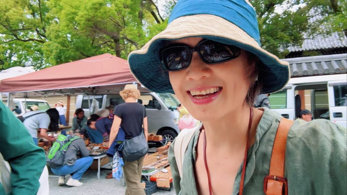 日本京都東寺每月第一個週末的破爛骨董集市 購買過程实录 (2025,6月1日) 日本京都東寺每月第一個週末的破爛骨董集市 購買過程实录 (2025,6月1日)