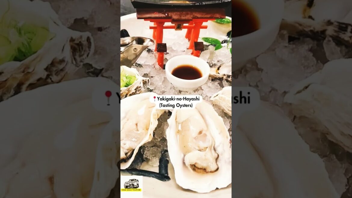 Japan ⛩️ Places #japan #travel #shortvideo #places #hiroshima #nagasaki #history #atombomb