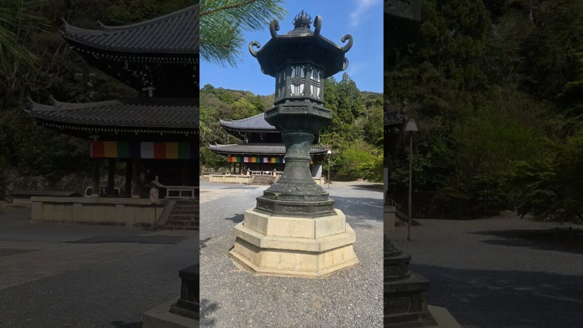 April 14–18, 2025. I love the streets of Kyoto! 😍#kyoto yoto #goodvibes #travel #japan