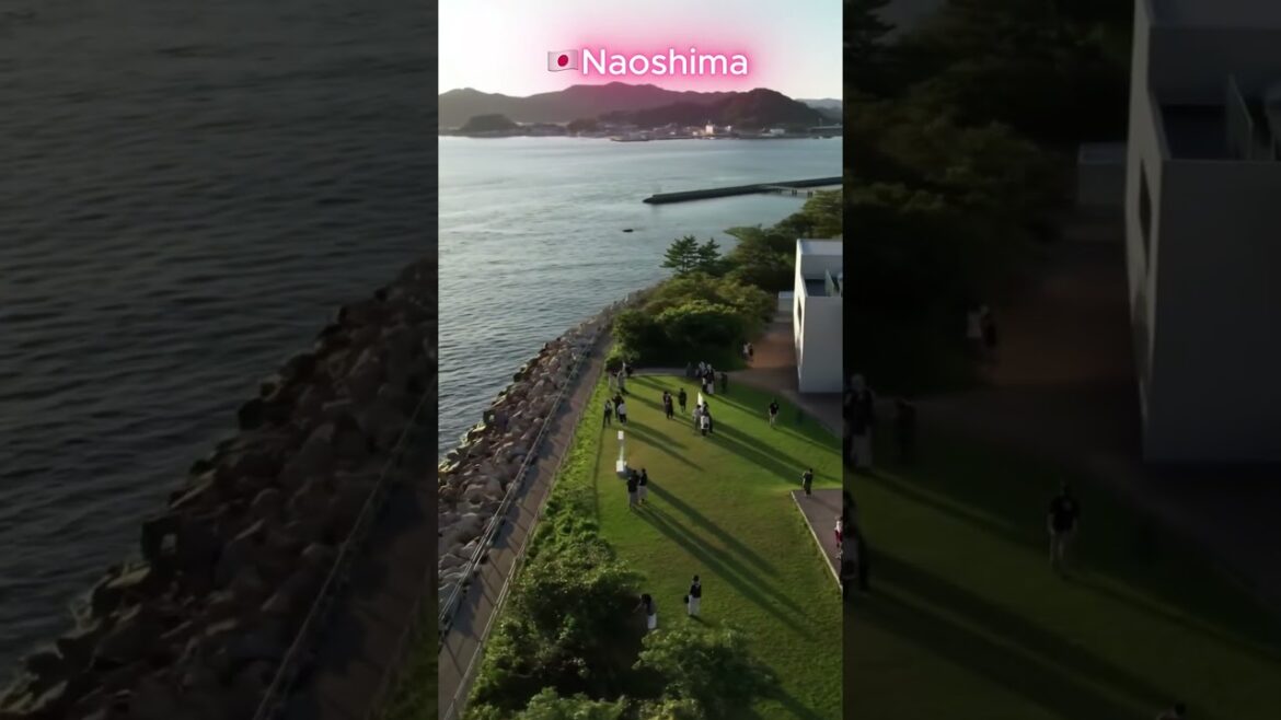 🇯🇵Naoshima  #japan #naoshima #travel #путешествия #nature