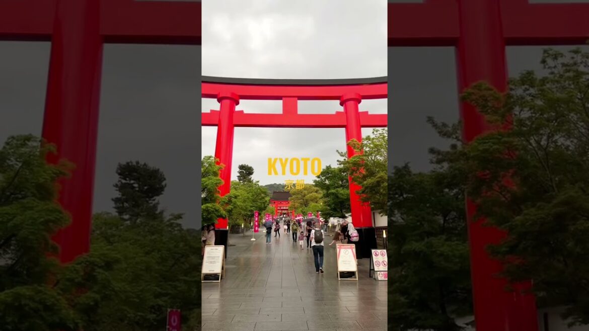 Kyoto, you took my breath away.. quite literally. #kyototravel #japantravel #worldtravel