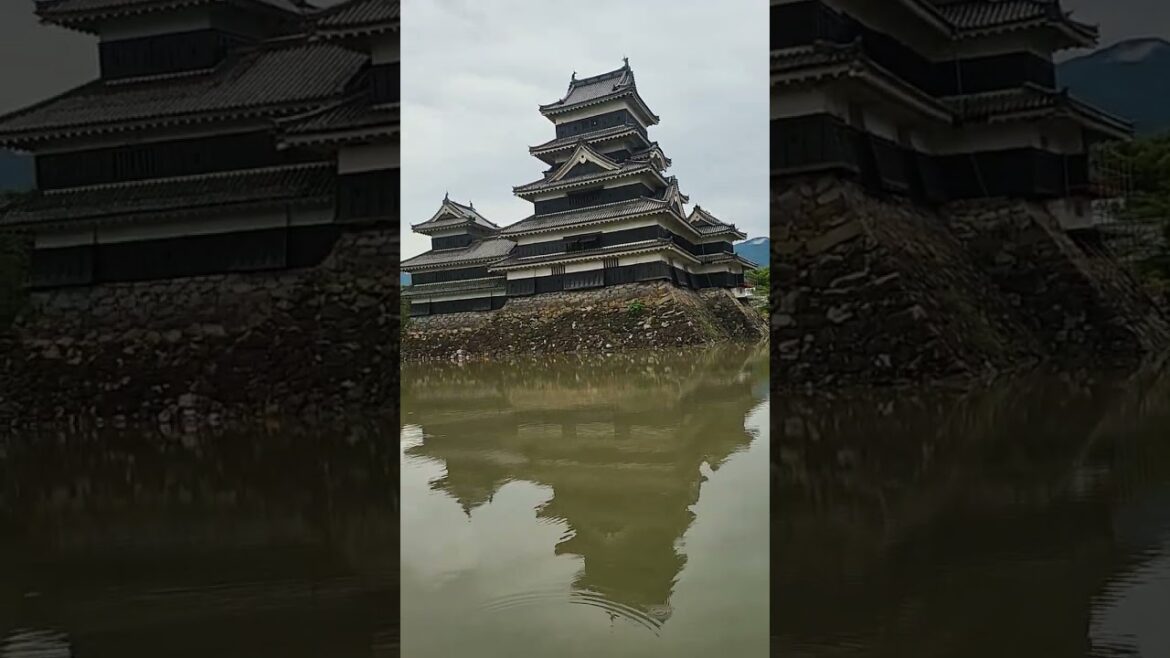 Matsumoto Castle Nagano #tourguiding #japantouristguide#japantravelguide#tourguideservice#alttravels