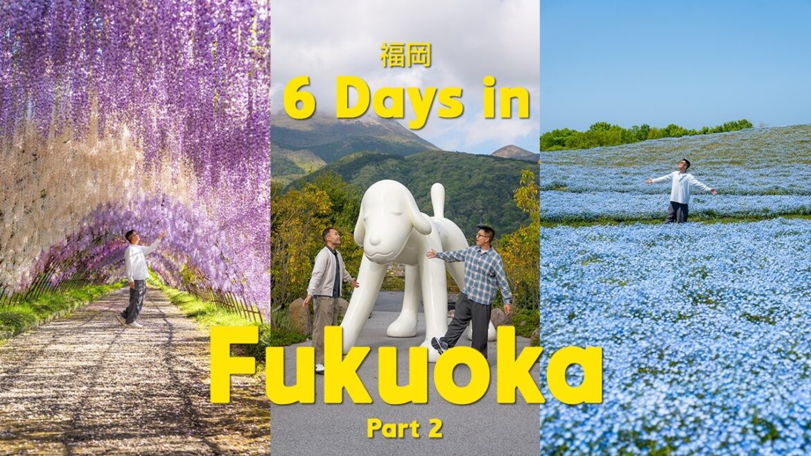 6 days in Fukuoka 🇯🇵 福岡 (best local food, yufuin roadtrip, aesthetic cafes) | japan trip | part 2 6 days in Fukuoka 🇯🇵 福岡 (best local food, yufuin roadtrip, aesthetic cafes) | japan trip | part 2