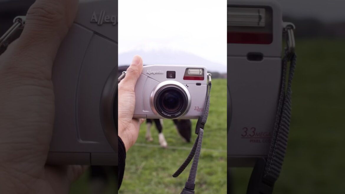 the vintage camera 🤝 the shots the vintage camera 🤝 the shots