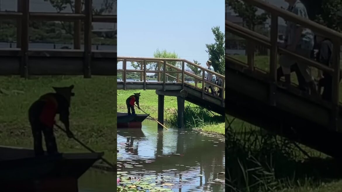 Ayame Park (Chiba, Japan)
