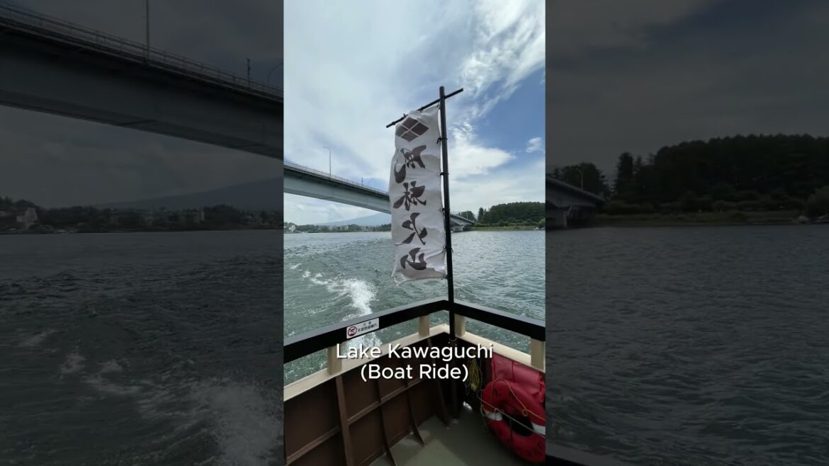 #lakekawaguchi #yamanashi #mtfuji #japan #travel #japantourism #tourism