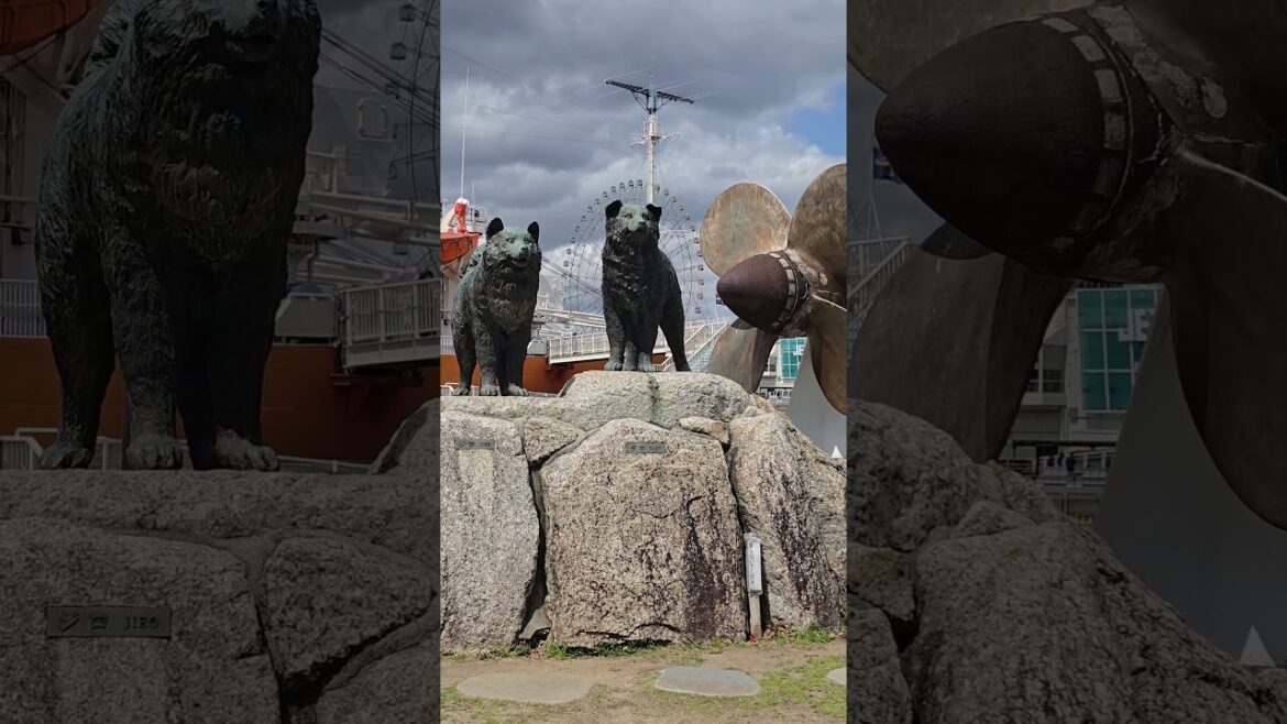 Nagoya, Japan! 🇯🇵 #Japan #Nagoya #Travel #Asia