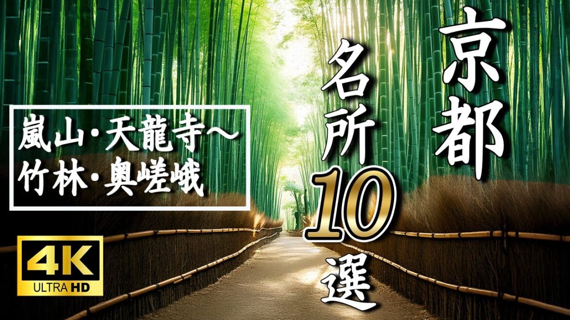 【京都嵐山観光】初めてでも迷わない!厳選10選 絶景&食べ歩き完全ガイド🌸🍁 【京都嵐山観光】初めてでも迷わない!厳選10選 絶景&食べ歩き完全ガイド🌸🍁