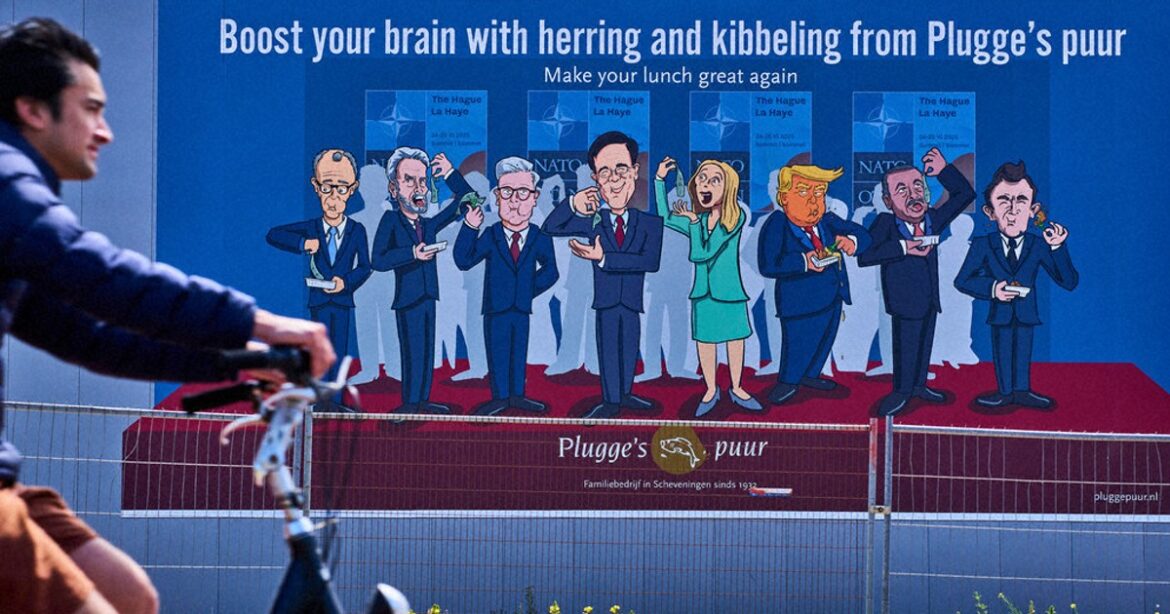 Japan PM to visit Netherlands from Tuesday for NATO summit