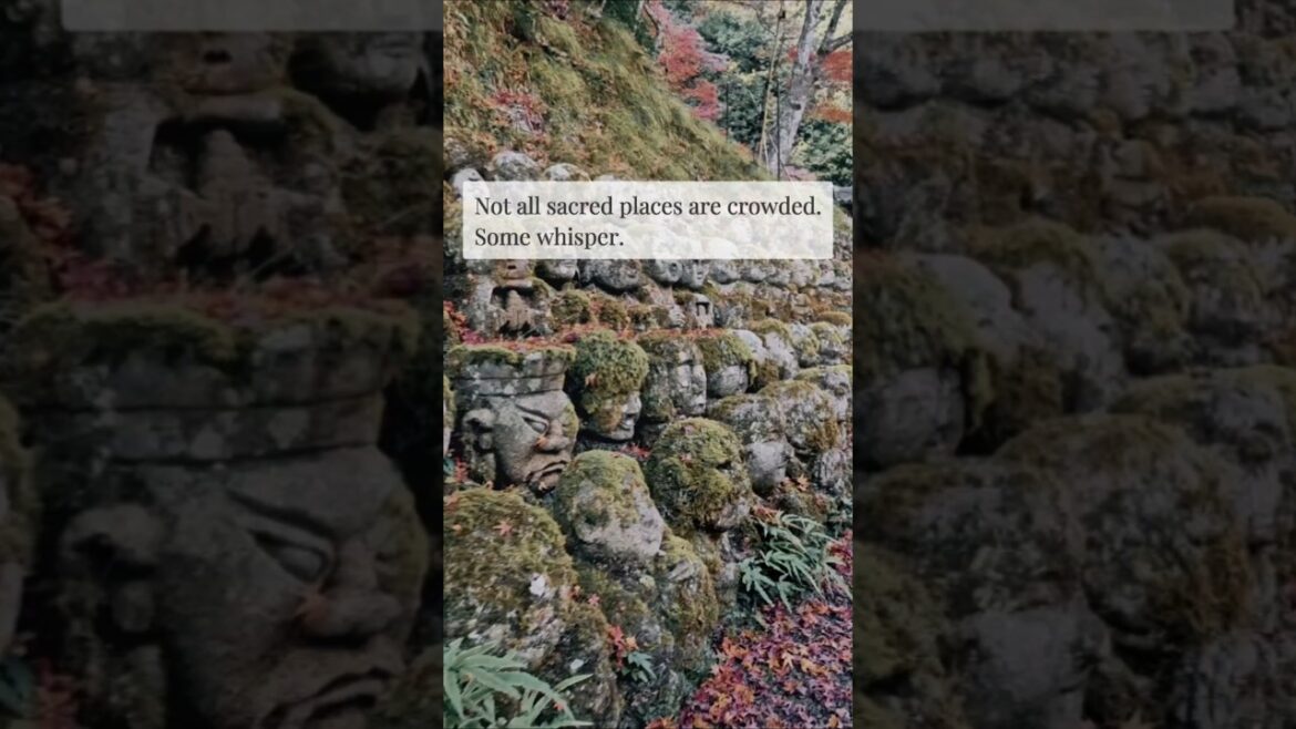 OVER A THOUSAND SOULS are waiting.. hidden in most and mist. β°οΈππ± #shorts OVER A THOUSAND SOULS are waiting.. hidden in most and mist. β°οΈππ± #shorts