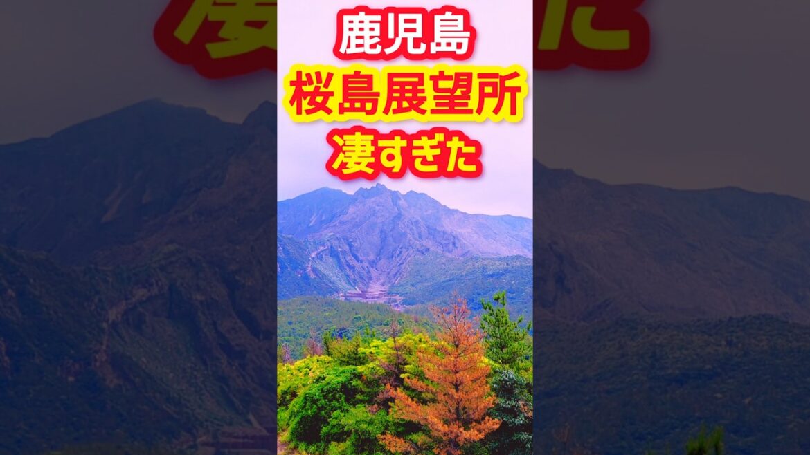 鹿児島の桜島にある展望所が凄すぎた…【湯之平展望所】#鹿児島 #鹿児島観光 #桜島 #桜島観光 #旅行 鹿児島の桜島にある展望所が凄すぎた...【湯之平展望所】#鹿児島 #鹿児島観光 #桜島 #桜島観光 #旅行