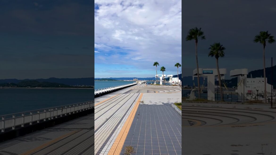 🏝️ หลงรัก Wakayama Marina City ตั้งแต่ก้าวแรก…เงียบ สงบ วิวดีสุดๆ 🇯🇵 #coolplaces #travel #japan