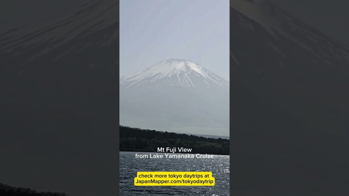 π» Cruise Lake Yamanaka with This INSANE Mt. Fuji View! π€β¨ #fuji #yamanaka #cruise #daytrip π» Cruise Lake Yamanaka with This INSANE Mt. Fuji View! π€β¨ #fuji #yamanaka #cruise #daytrip