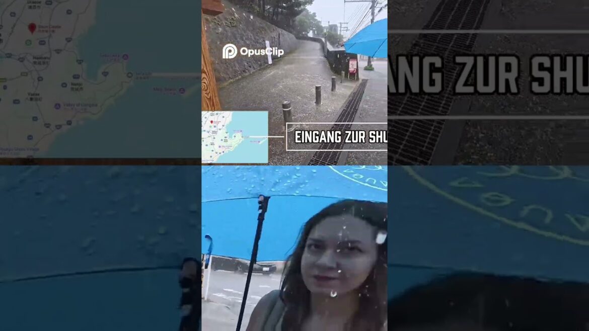 Okinawa im Regen – und wir so: „Burg-Tour?“ 🌧️😅