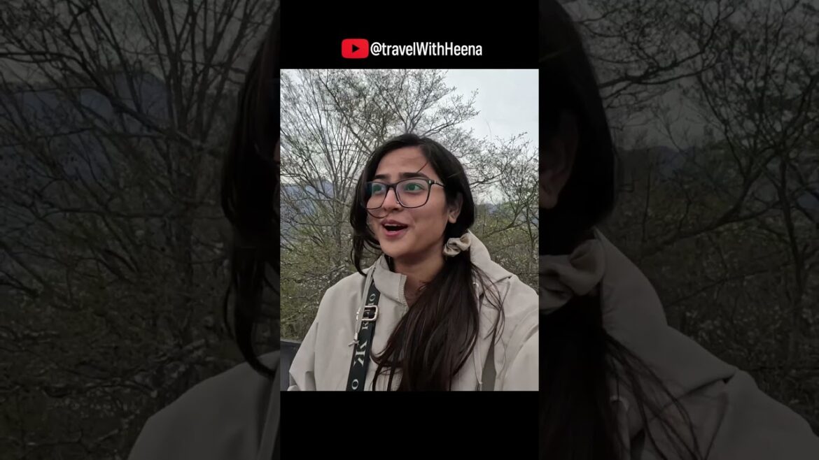 Mt. Tenjo Se Mt. Fuji – Aisa Nazara Nahi Dekha! ⛰️🔥 #travel #japan #hindi #indianvlogger #trending Mt. Tenjo Se Mt. Fuji – Aisa Nazara Nahi Dekha! ⛰️🔥 #travel #japan #hindi #indianvlogger #trending