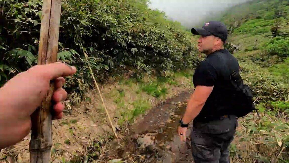 Timelapse down Mt Hakkoda Volcano . Aomori Japan