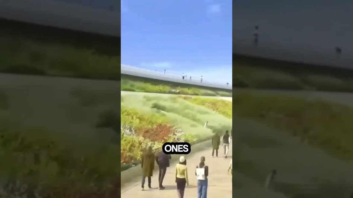 Osaka Expo 2025 Without Lotteries – Can You Still Go? Osaka Expo 2025 Without Lotteries – Can You Still Go?