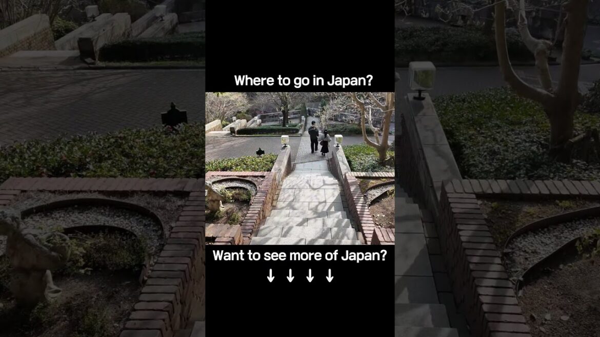 Heading Down from Kobe Herb Garden by Ropeway｜神戸ハーブ園からロープウェイで下山｜搭乘纜車下山神戶香草園#KobeRopeway #HerbGardenV