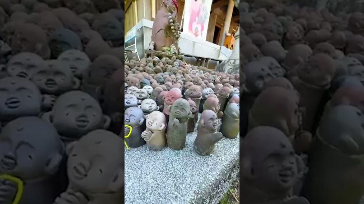 【#shorts 】Miyajima’s Stunning Scenery in Seconds! 【#shorts 】Miyajima’s Stunning Scenery in Seconds!