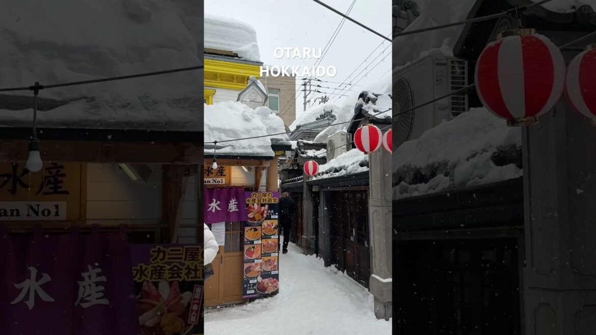 Otaru Hokkaido #travel #japan #trending #shorts