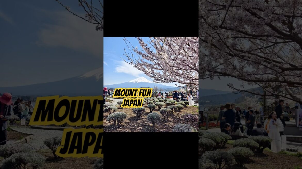 Mount Fuji Japan