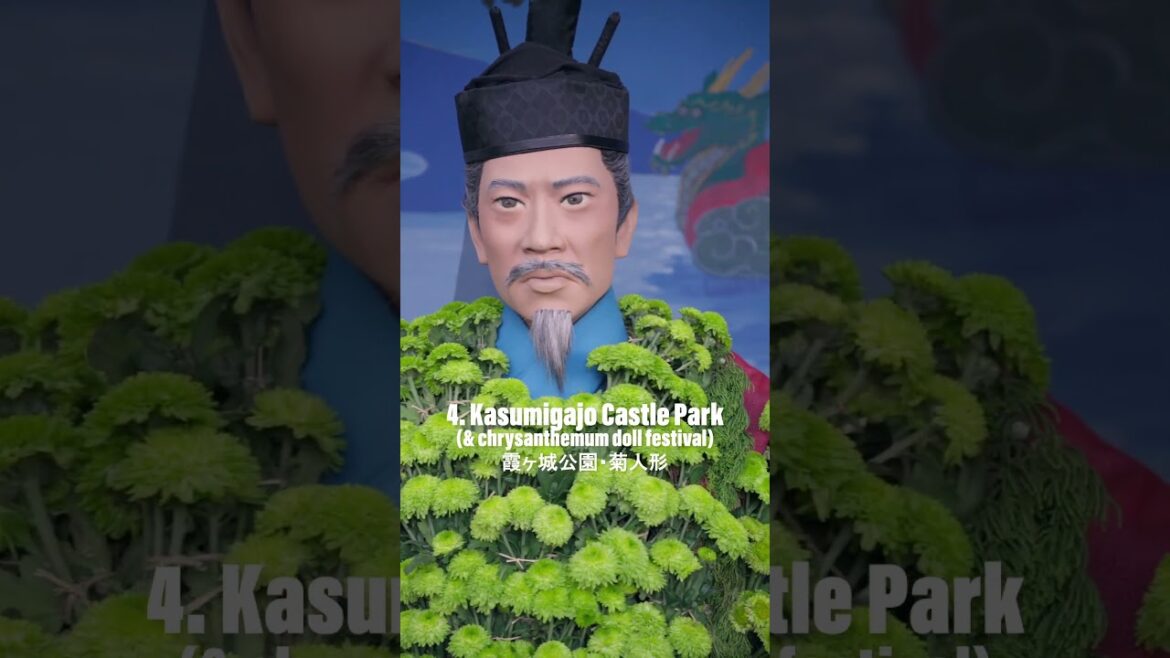 5 Things to Do in Nihonmatsu, Fukushima