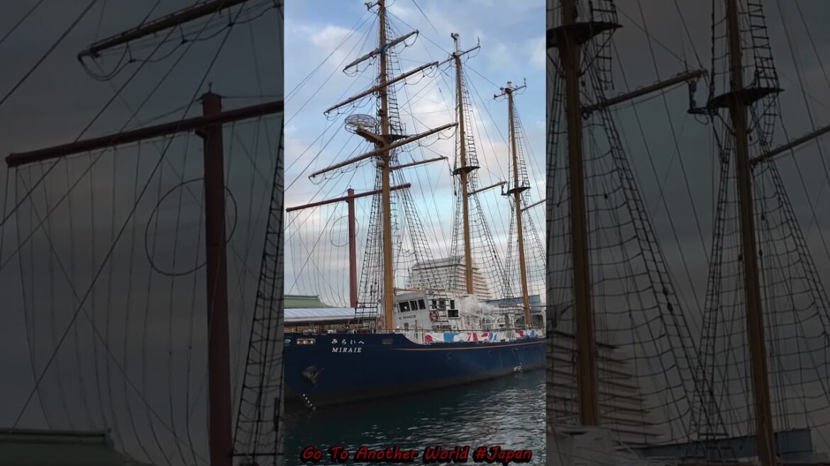 Kobe Meriken Wharf② Cruise#travelshorts #shorts #JapanTravel #AnotherWorld Kobe Meriken Wharf② Cruise#travelshorts #shorts #JapanTravel #AnotherWorld