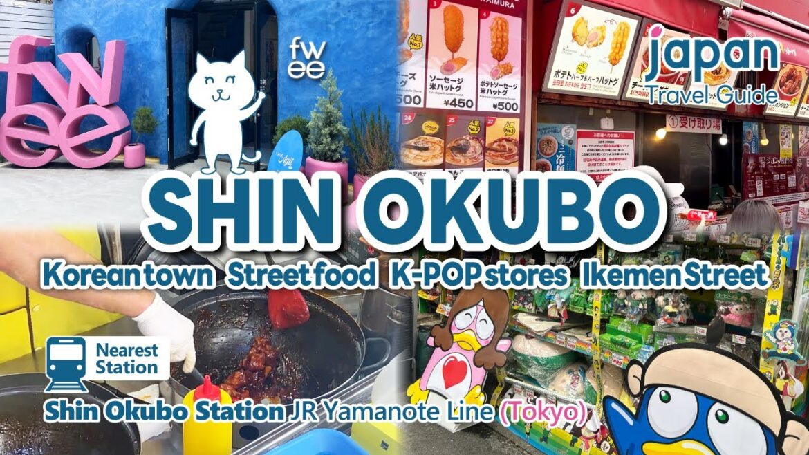 【SHIN-OKUBO/tokyo】Korean town, Ikemen street, Street food, Asian food, etc.|Japan Travel Guide 【SHIN-OKUBO/tokyo】Korean town, Ikemen street, Street food, Asian food, etc.|Japan Travel Guide