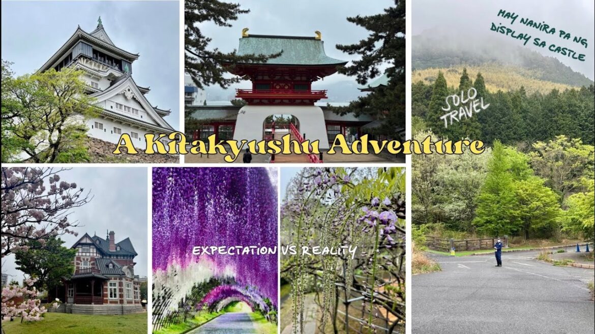 π― Kitakyushu Fukuoka Wisteria Day Tour π π― Kitakyushu Fukuoka Wisteria Day Tour π