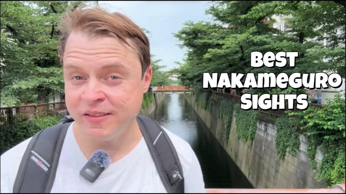 Walking Tour of Nakameguro: River Views, Giant Starbucks & Hidden Temples