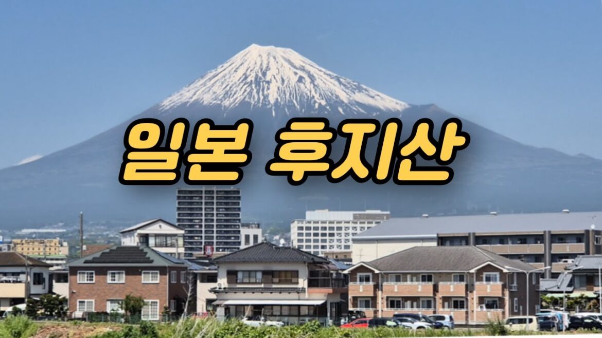 후지산이 가장 잘 보이는 일본 소도시 여행 ㅣ 후지, 후지노미야 ㅣ 꿈의대교ㅣ후지산세계문화유산센터ㅣ  [일본 시즈오카 후지산 3]