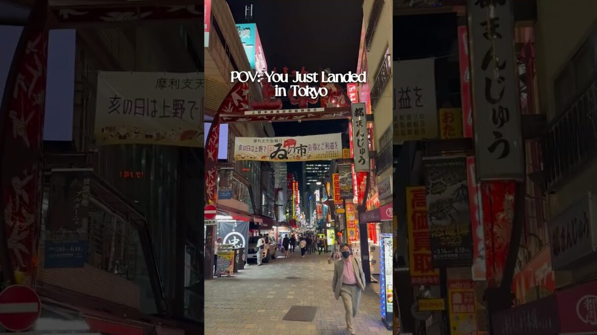 POV You Just Landed in Tokyo POV You Just Landed in Tokyo