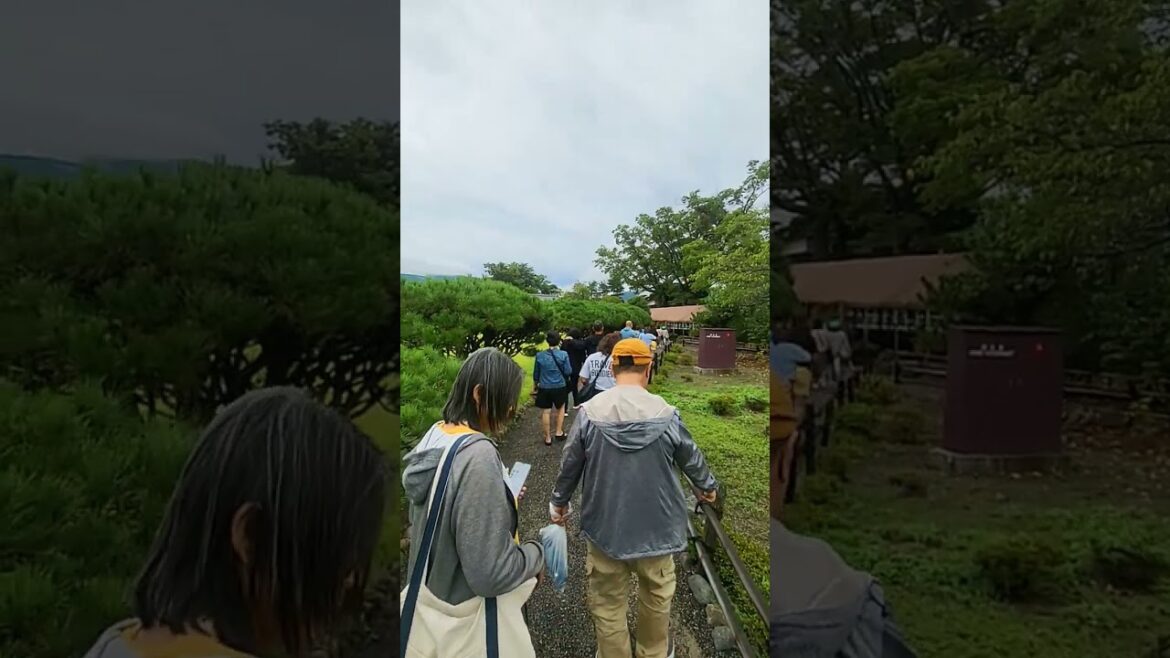 Matsumoto Castle Nagano #tourguiding #travelnagano #japantravelguide#japantraveltipsps#alttravels