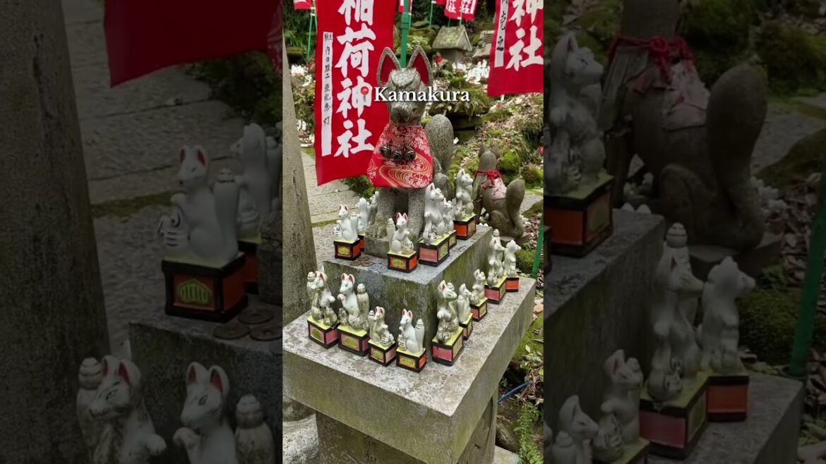 Kamakura, Japan! 🇯🇵 ❤️ #japan #travel
