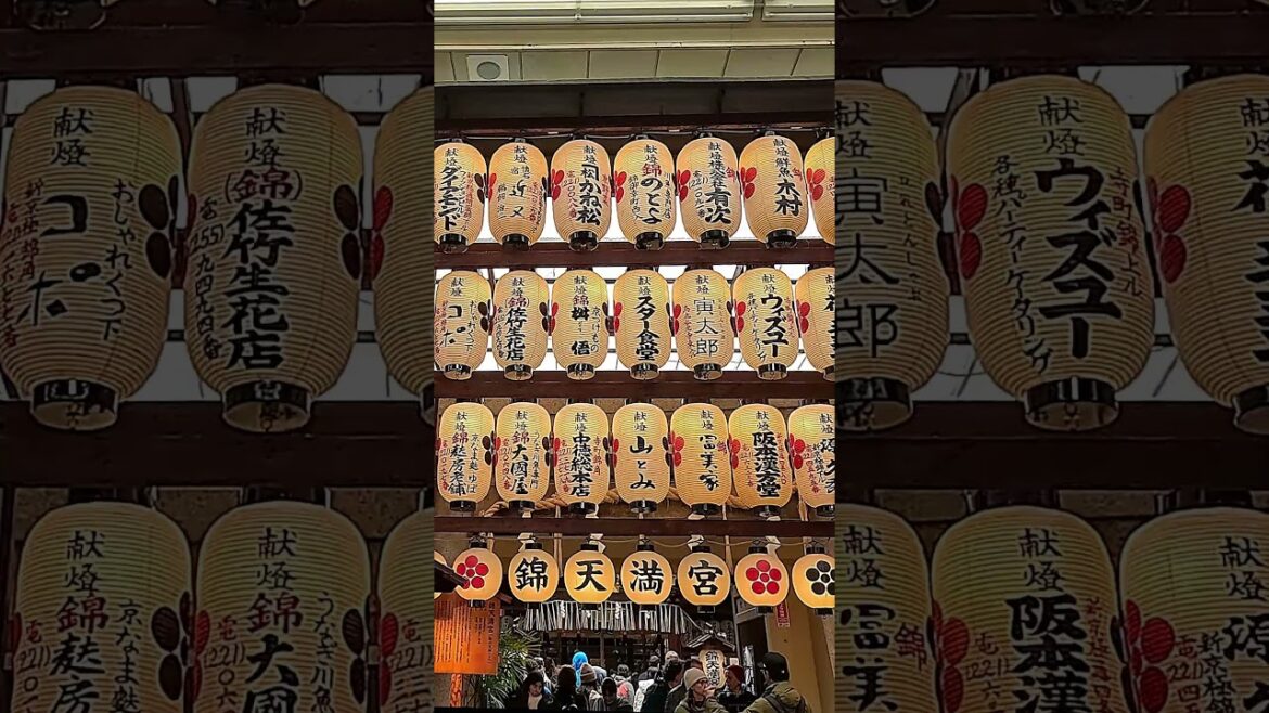 3 Amazing Days in Kyoto 🇯🇵 | Full Itinerary Inside #Kyoto #JapanTravel #Vlog