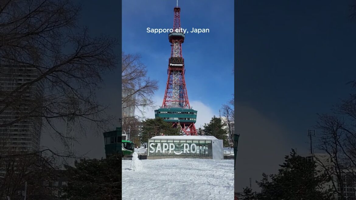 Sapporo downtown view in winter, #japan #sapporo #hokkaido #japantravel #travel Sapporo downtown view in winter, #japan #sapporo #hokkaido #japantravel #travel