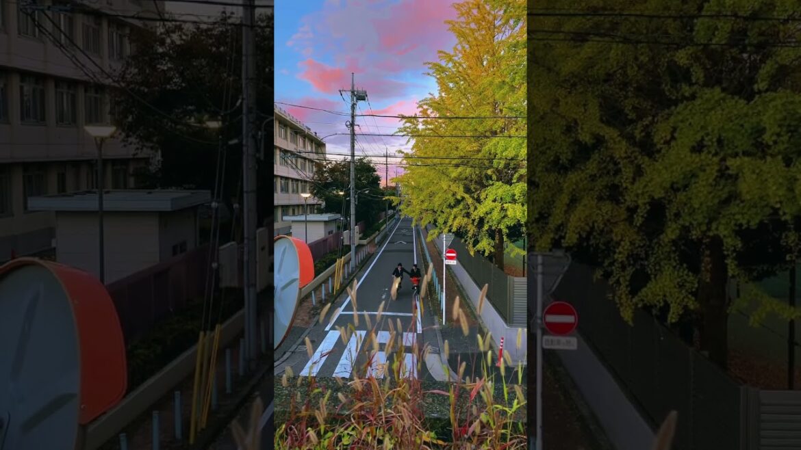 🇯🇵 Japan travel #shorts #walk #散歩