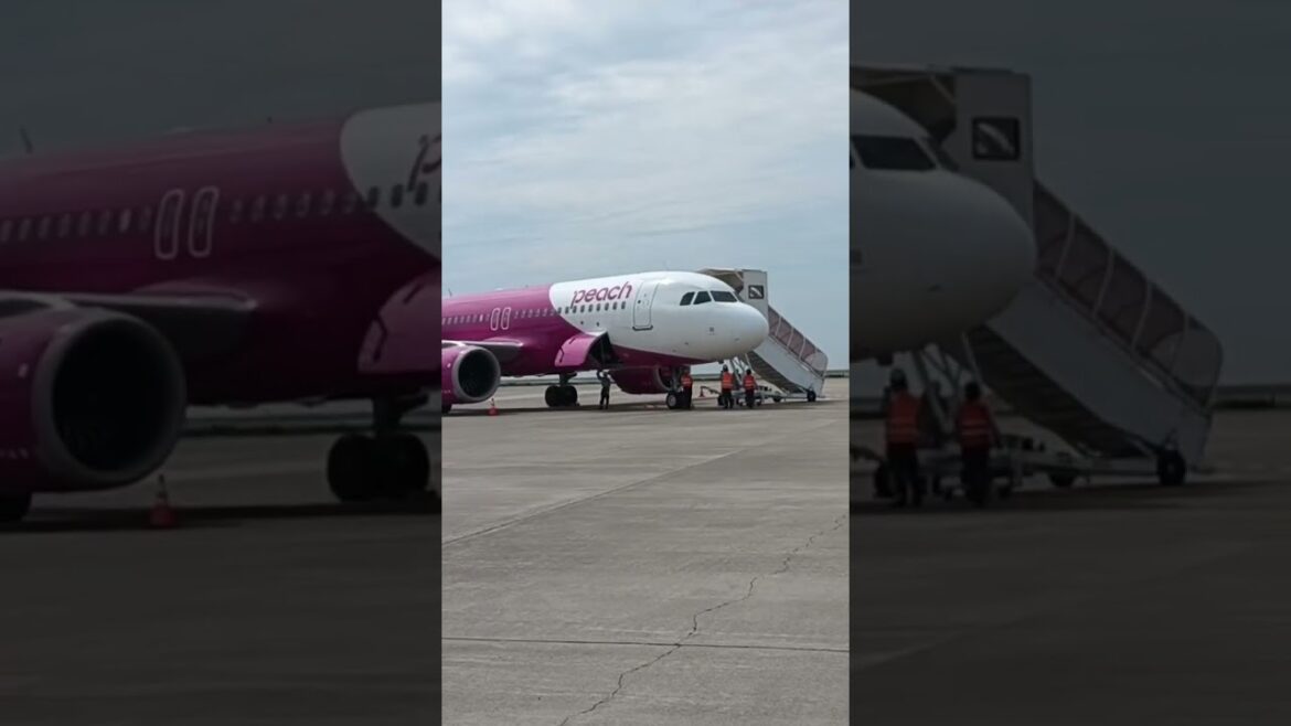 #highlights #fly #bangladesh #reels #japan