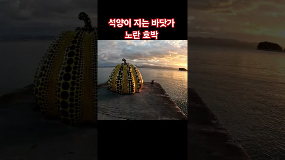 나오시마 섬 자전거 여행 #일본 #여행 #오카야마